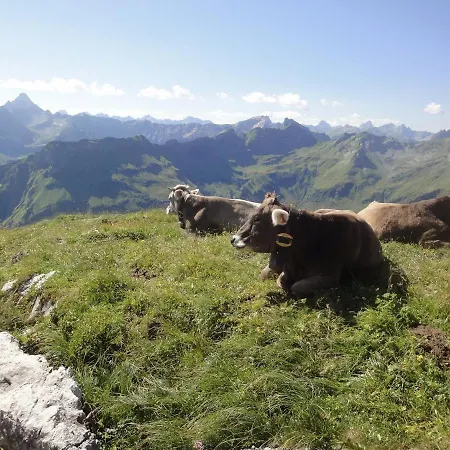 Appartement Haus Sonnenruh Bad Hindelang