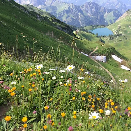 Haus Sonnenruh Appartement Bad Hindelang